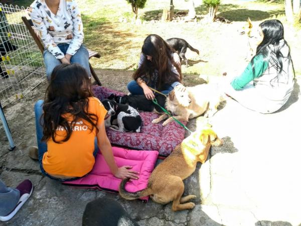 Evento de adoção realizado neste sábado foi um sucesso