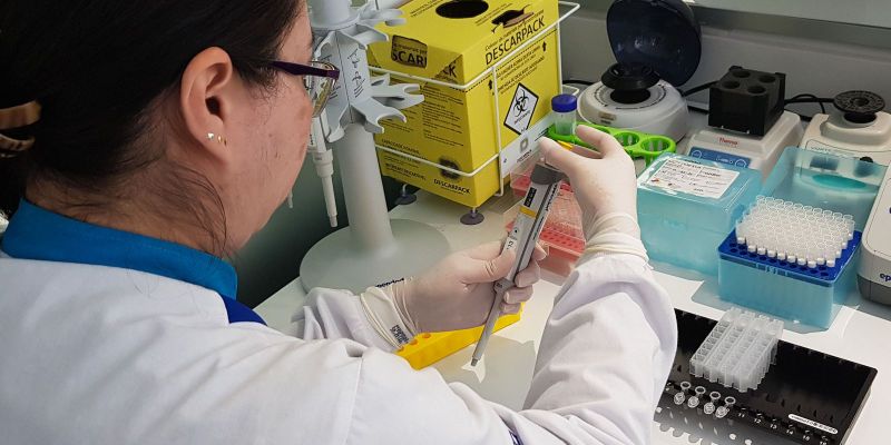 Estado de SP terá mutirão de testes gratuitos de paternidade 