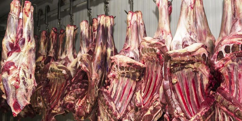 Comércio irregular de carne é alvo de operação no interior paulista