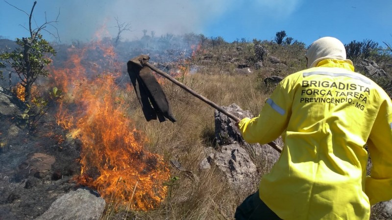 Processo seletivo para brigadistas vai até 13/7