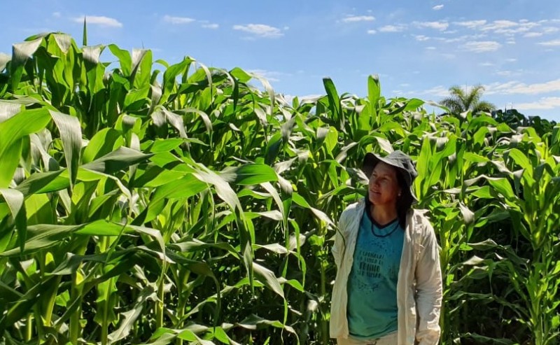 Mais de 920 mil produtores rurais mineiros já podem emitir Nota Fiscal Avulsa off-line