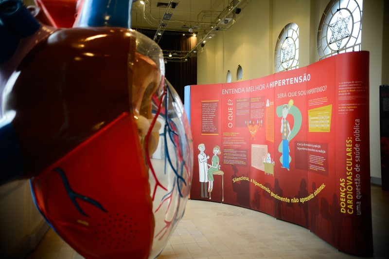 Sociedade de Cardiologia promove campanha no Dia Mundial do Coração