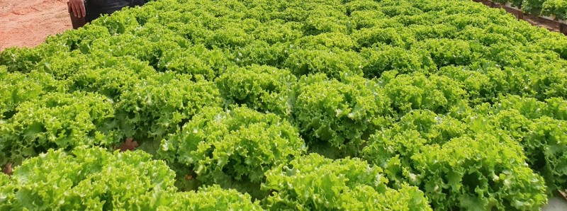 Humberto Trajano / Seplag