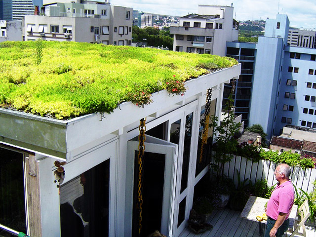 Os benefícios do IPTU verde para a preservação ambiental