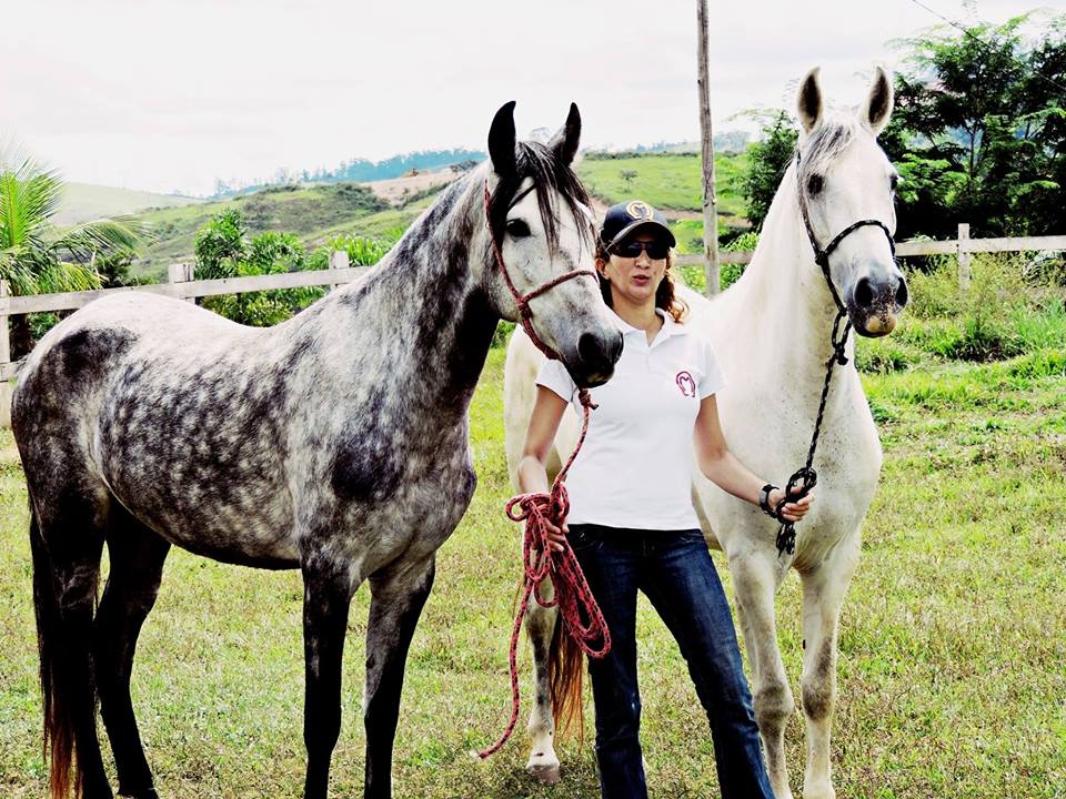 Criar Cavalos é um Dom