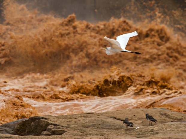 Justiça Federal homologa acordo de R$ 20 bilhões para Bacia do Rio Doce
