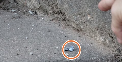 Bala perdida fura carro de uma mulher no bairro São Francisco