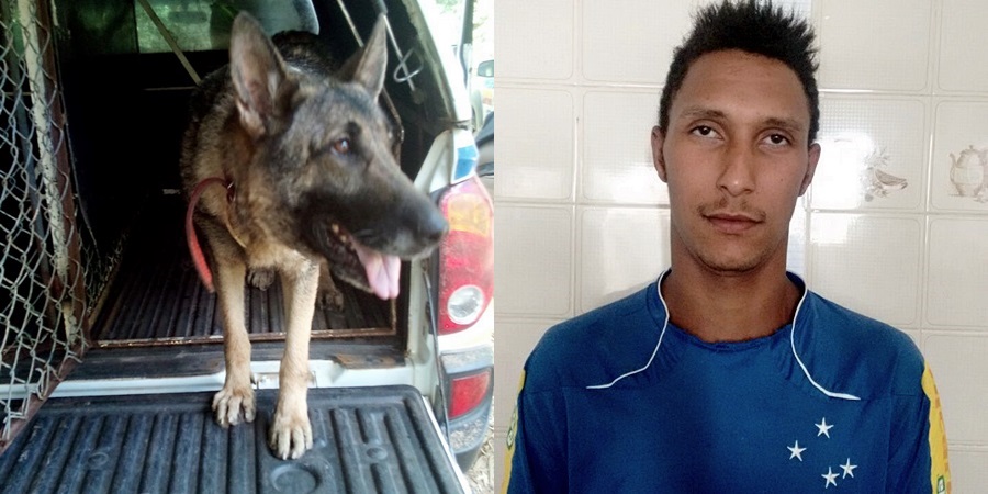 Polícia prende armas e suspeito de homicídio na zona rural de Ferros