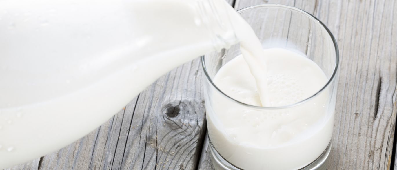 7 verdades sobre a proteína do leite; conheça