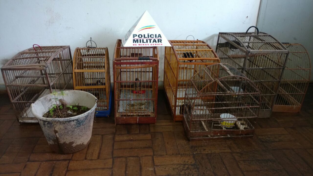 POLÍCIA MILITAR realiza Operação Alferes Tiradentes em Itabira e região